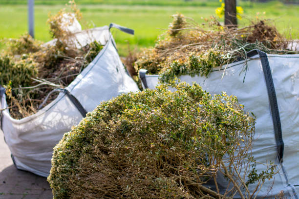Best Scrap Metal Removal  in Fallon, NV
