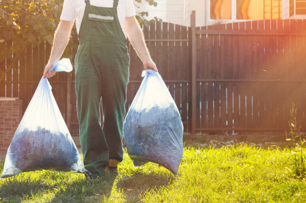 Best Shed Removal  in Fallon, NV